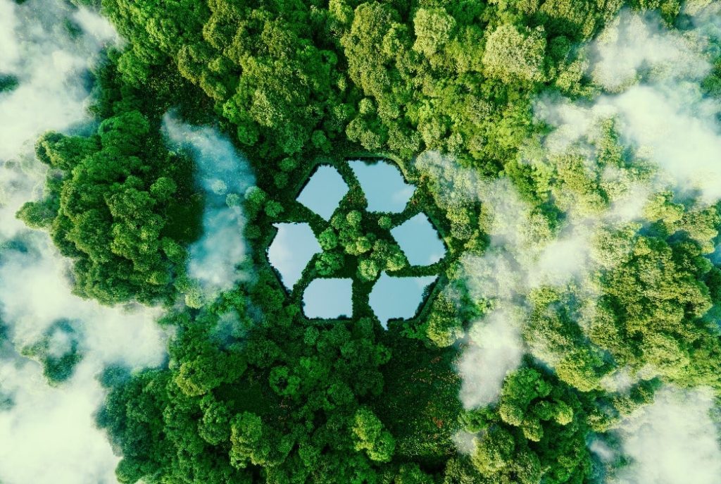 A floresta para a sustentabilidade da reciclagem de baterias de carros elétricos