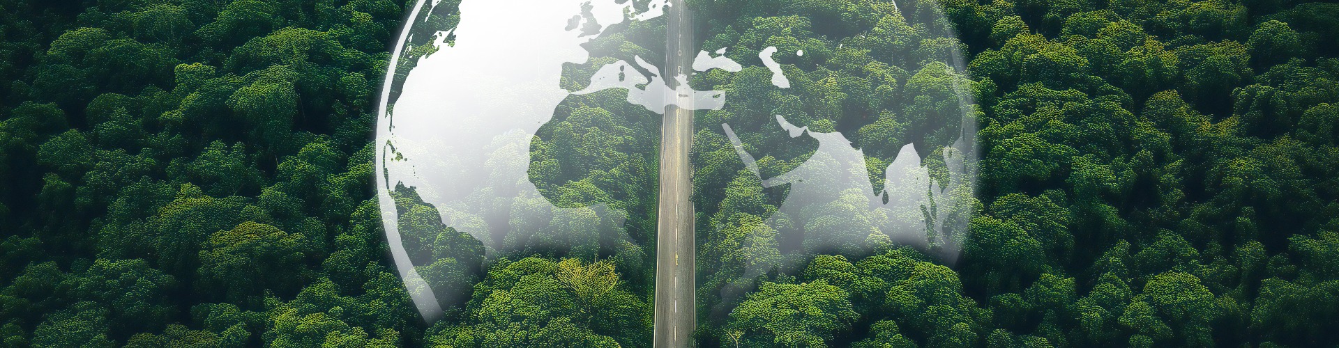 A floresta para a sustentabilidade da reciclagem de baterias de carros elétricos