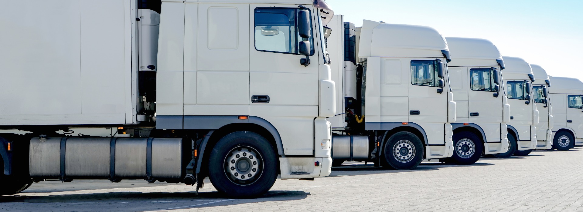 Empresa de transportes rodoviários, vários camiões brancos estacionados lado a lado